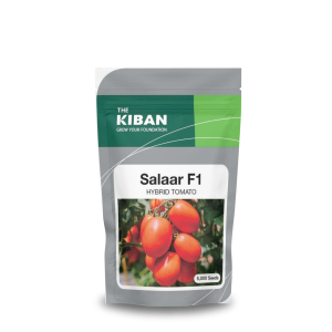 Salaar F1