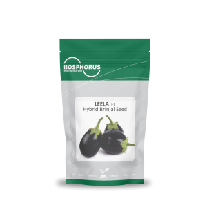 Leela F1 Hybrid Brinjal